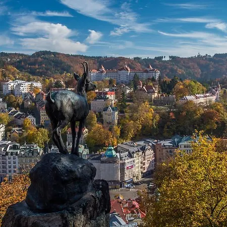 Bluestars קרלובי וארי