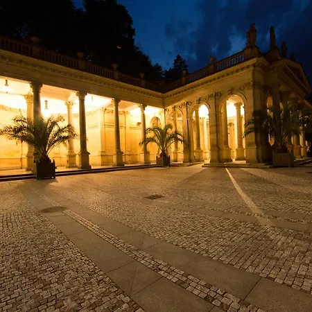 Bluestars קרלובי וארי