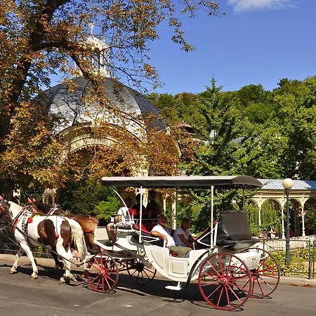 בית הארחה Bluestars 4*